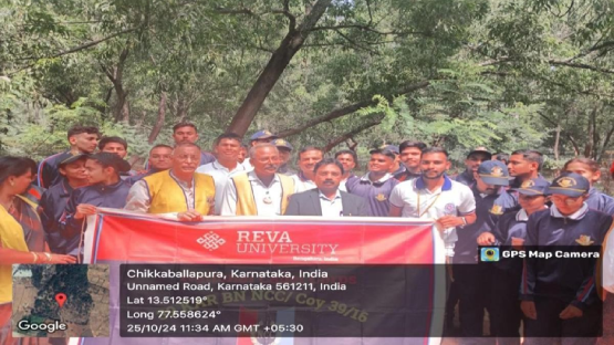 TREE PLANTATION