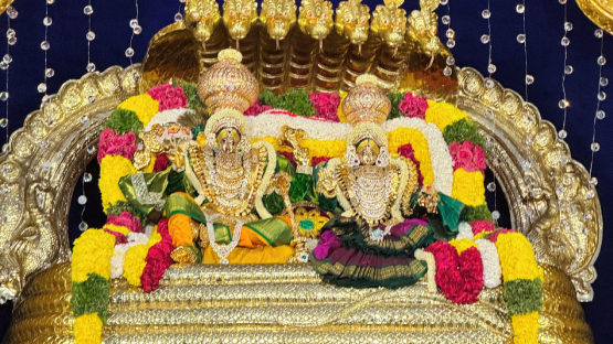 Nss Iskcon Ekadashi Day